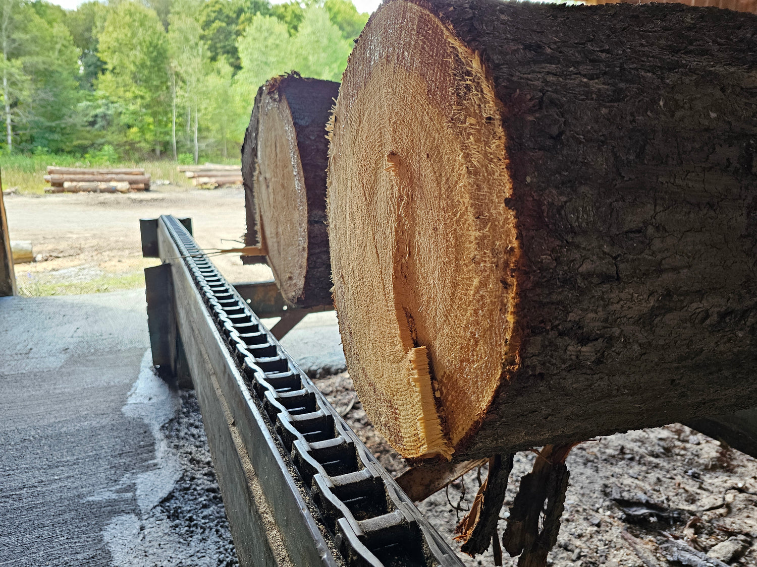 Logs being moved on log deck