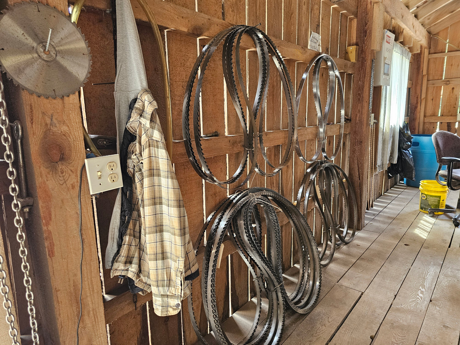 Bandsaw blades hanging up on wall